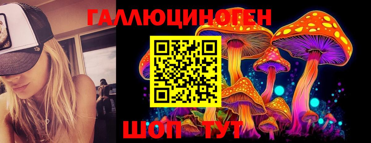 Галлюциногенные грибы Cubensis  Вход с VPN  Вышний Волочёк 