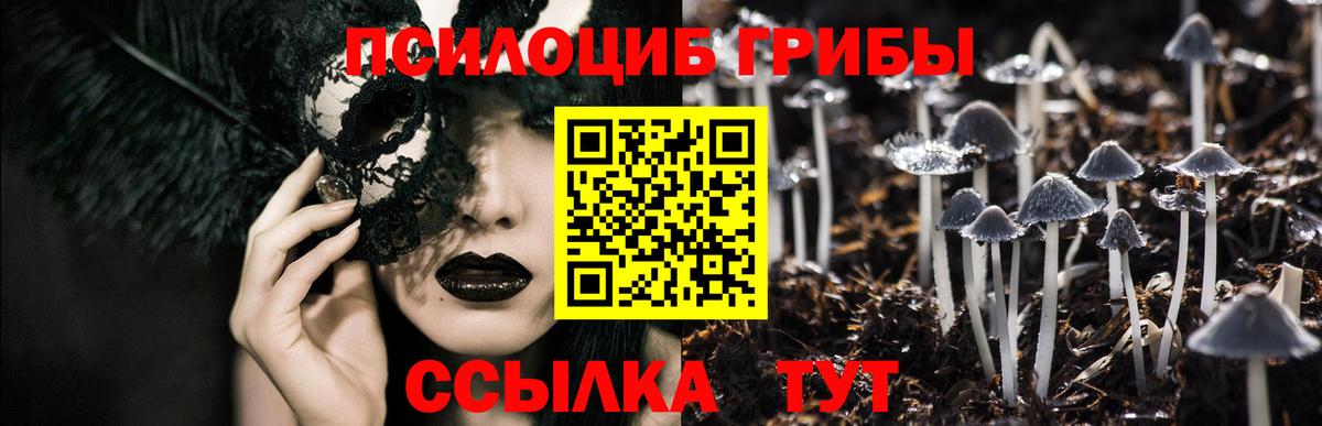 Галлюциногенные грибы Cubensis Вышний Волочёк