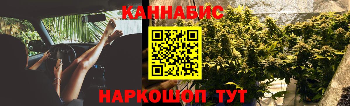 Каннабис White Widow Вышний Волочёк
